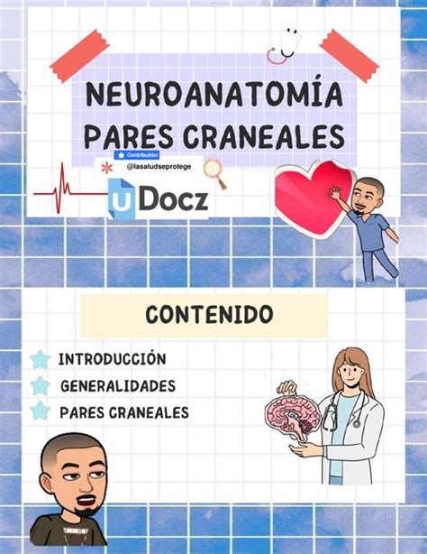 Neurologia Lasaludseprotege Udocz