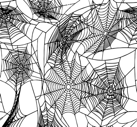 Background Illustration of a spider web on a White Background 5148924 ...