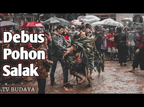 Spektakuler Perang Celeng Ndadi Jaranan Turonggo Joyo Budoyo Youtube