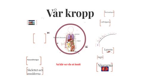 Kroppen By Camilla Nygren On Prezi