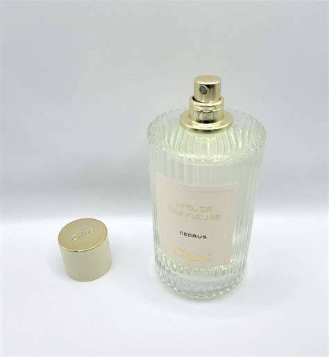 CHLOE CEDRUS PERFUME (EDP) 150ML - BTEGA