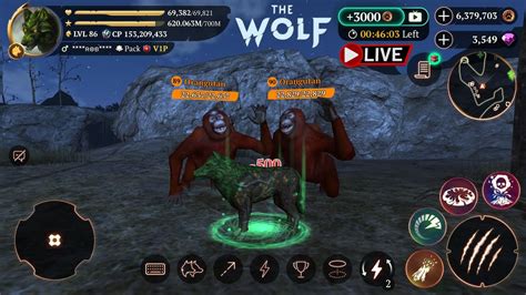 🔴 Live The Wolf Full Big Champ Quest Co Op And Pvp Youtube