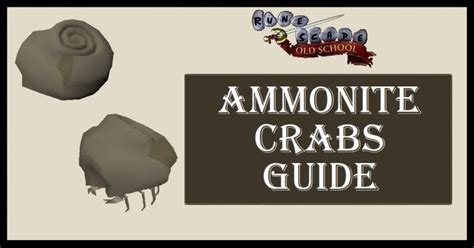 OSRS Ammonite Crabs Guide | Gear & Strategy