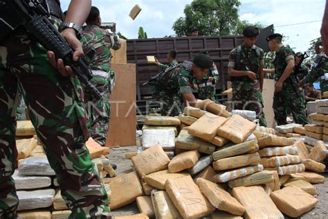 Tni Gagalkan Penyelundupan Ganja Antara Foto