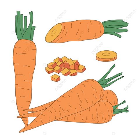 Hand Painted Material Png Image Carrot Cartoon Hand Painted Vegetable