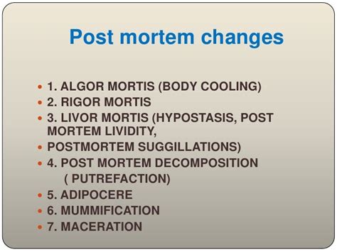 Post Mortem Examinationautopsy