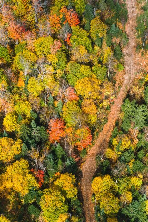 The Ultimate Maine Fall Foliage Tour – Autumn in Maine