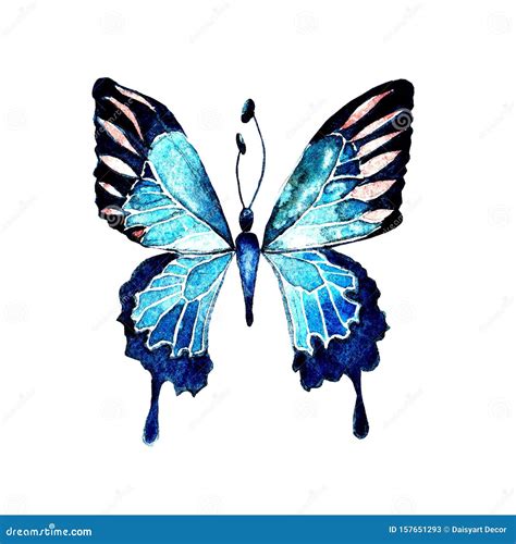 Sky Butterfly In A Wildlife By Watercolor Style Isolated Wild Freedom