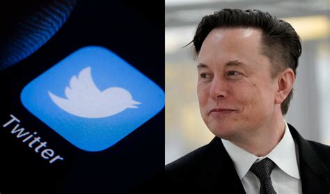 Elon Musk Anuncia Que Encontró Una Nueva Ceo Para Twitter