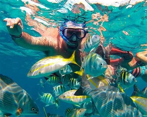 The Best Snorkelling Spots In Beautiful Riverview Florida