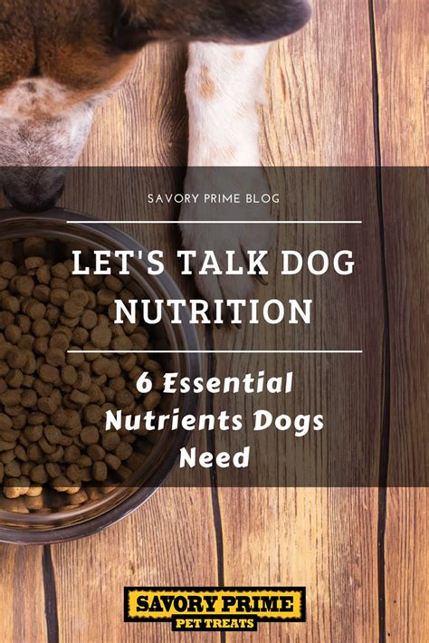 Lets Talk Dog Nutrition — 6 Essential Nutrients Dogs Need Savory