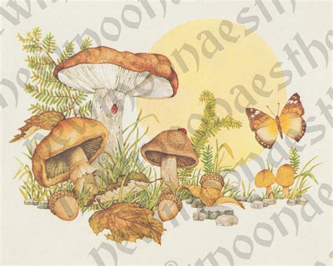 Retro 70s Mushroom Print 60s Reproduction Poster Vintage Etsy