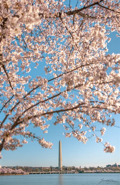 Trevor Mahlmann On Twitter This Morning In Washington Dc