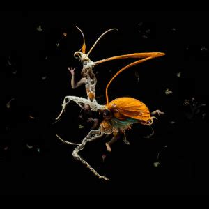 Metamorphosis Lyric Hammersmith