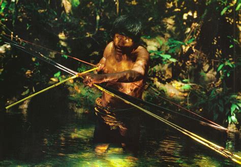 Forgotten Tribes Of The Amazon Biopiracy And The Story Of The Urueu Wau