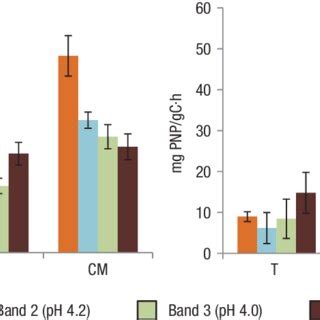 Extracellular Glucosidase Activity Mg Of P Nitrophenol Pnp