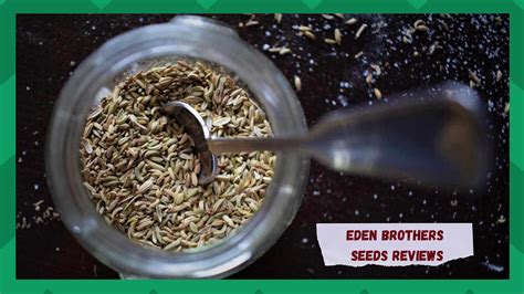 Eden Brothers Seeds Review: Is It Good? - Farmer Grows