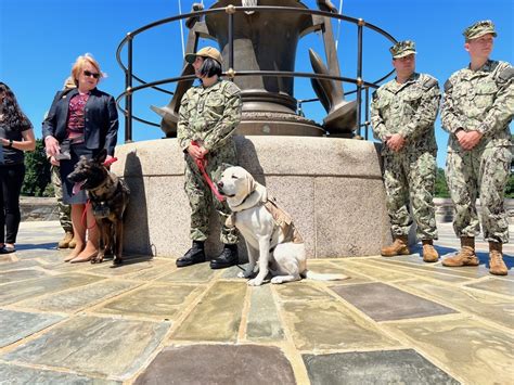 Walter Reed Bethesda Facility Dogs promoted to the next rank > United ...