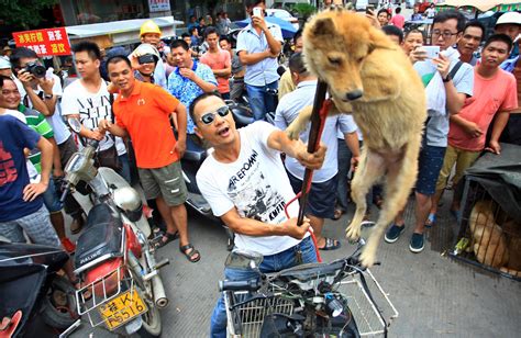 Yulin Dog Meat Festival 2024 Banned In China - Mag Marabel