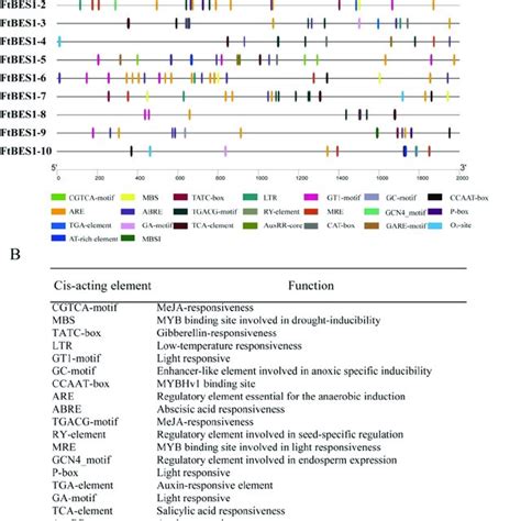 A Analysis Of Cis Acting Elements Of Ftbes1 Gene Promoter Different