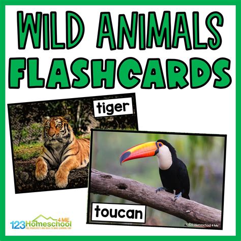 Flashcards Wild Animals Printables