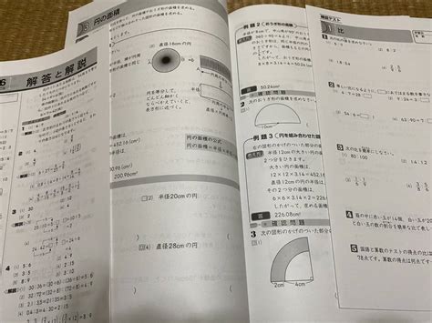 105 塾専用教材 標準新演習冬期テキスト 小6算数英語2冊セット 解答解説テスト付小学校｜売買されたオークション情報、yahooの商品