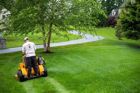 A Look At Lawn Mowing Jobs In Alexandria Va Going From Paying The