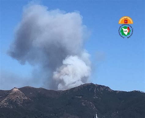 Incendio Boschivo In Localit Capo D Arco All Elba Gonews It