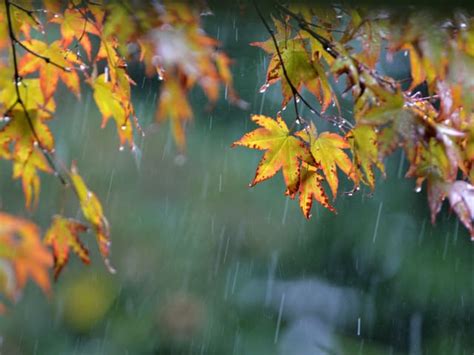 Wetterwechsel Regen Kommt Am Wochenende Meteo SRF