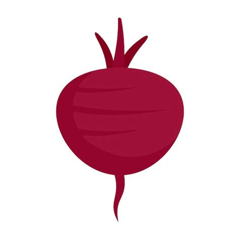 Premium Vector Beetroot Icon Flat Illustration Of Beetroot Vector