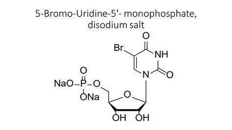 Bromo Uridine Monophosphate Disodium Salt Akonscientific