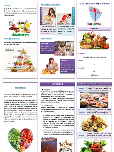 Triptico Nutricióndocx Nutrición Dieta Y Nutrición