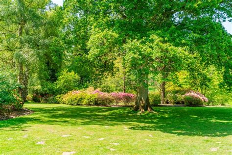 Virginia Water Park stock photo. Image of bushes, horizontal - 220269410