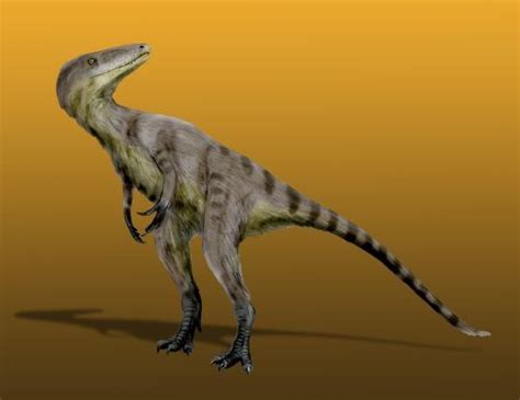 Xiongguanlong Pictures And Facts The Dinosaur Database