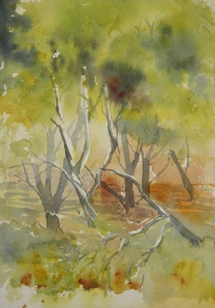 Jane Minter S Sketchbook Pine Trees Dalmatian Islands