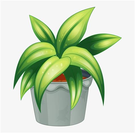 Pot Plant Clipart Botany Flowering Plant And Non Flowering Plant