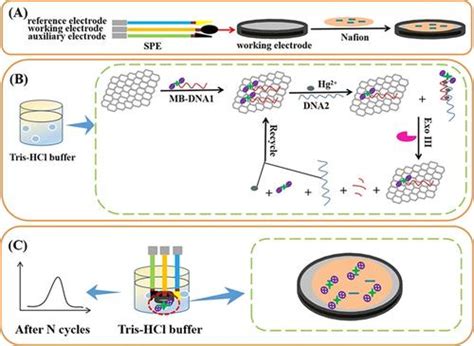 Screen Printed Electrode Based Homogeneous Electrochemical Aptasensor