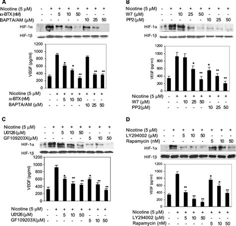 Pdf Nicotine Induces Hypoxia Inducible Factor Expression In Human