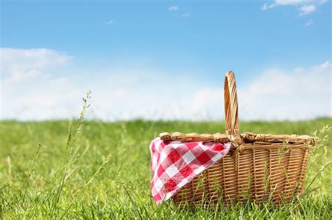 C Mo Organizar Un Picnic Es M S F Cil De Lo Que Piensas