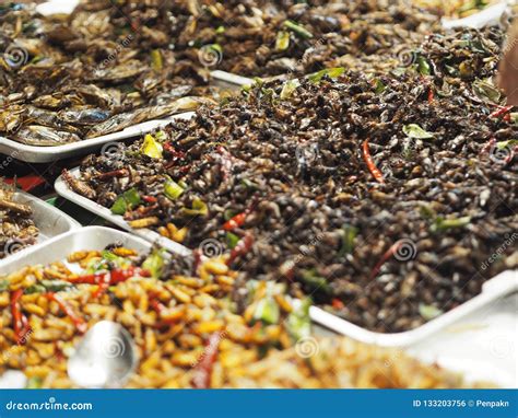 Crispy Cricket Fried Insects Entomophagy Delicious Stock Photo Image