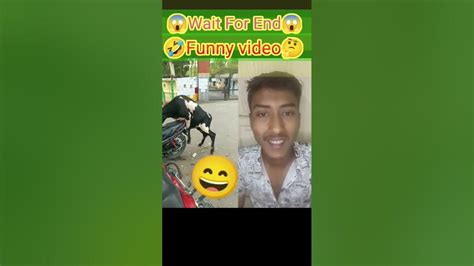 🤣🤣🤣🤣 Funny Video Hai🤣kya Scene Hai🤣moj Kardi🤣funny Video🤣kya Video