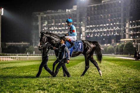 Ahmed On Twitter Longines Dubai Sheema Classic Winner