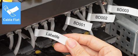 Amazon Labelife Replacement Label Tape For M21 500 499 Black On