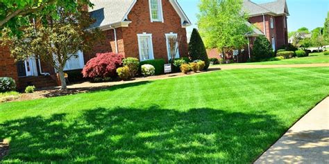 Organic Lawn Care Naturally Four Season