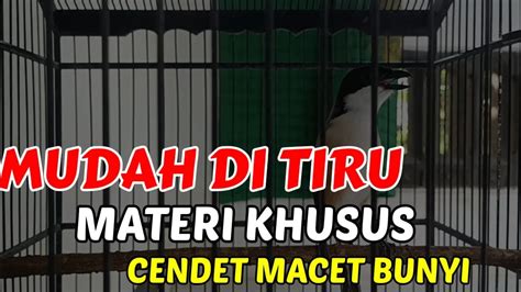 CENDET DIAM LANGSUNG NYAUT PANCINGAN CENDET AGAR BUNYI SUARA CENDET