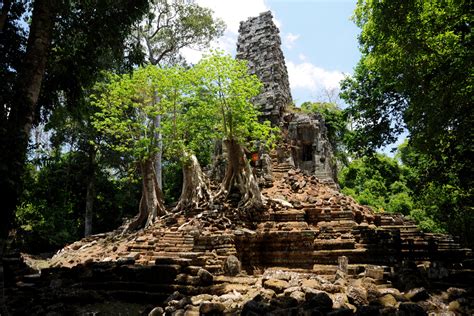 Cambodia Jungle Temples Image Gallery