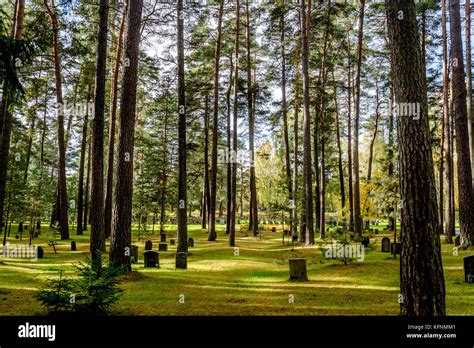 Skogskyrkogarden Woodland Cemetery Unesco World Heritage Site