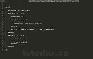 Arreglos Pseudocodigo Suma De Columnas Matriz Tutorias Co