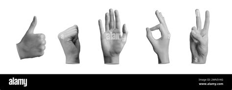 Hand gestures set. Fingers showing ok, victory, hi greeting, fist, ok ...