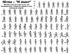 280 Karate kata - forms from various styles ideas | karate kata, karate ...